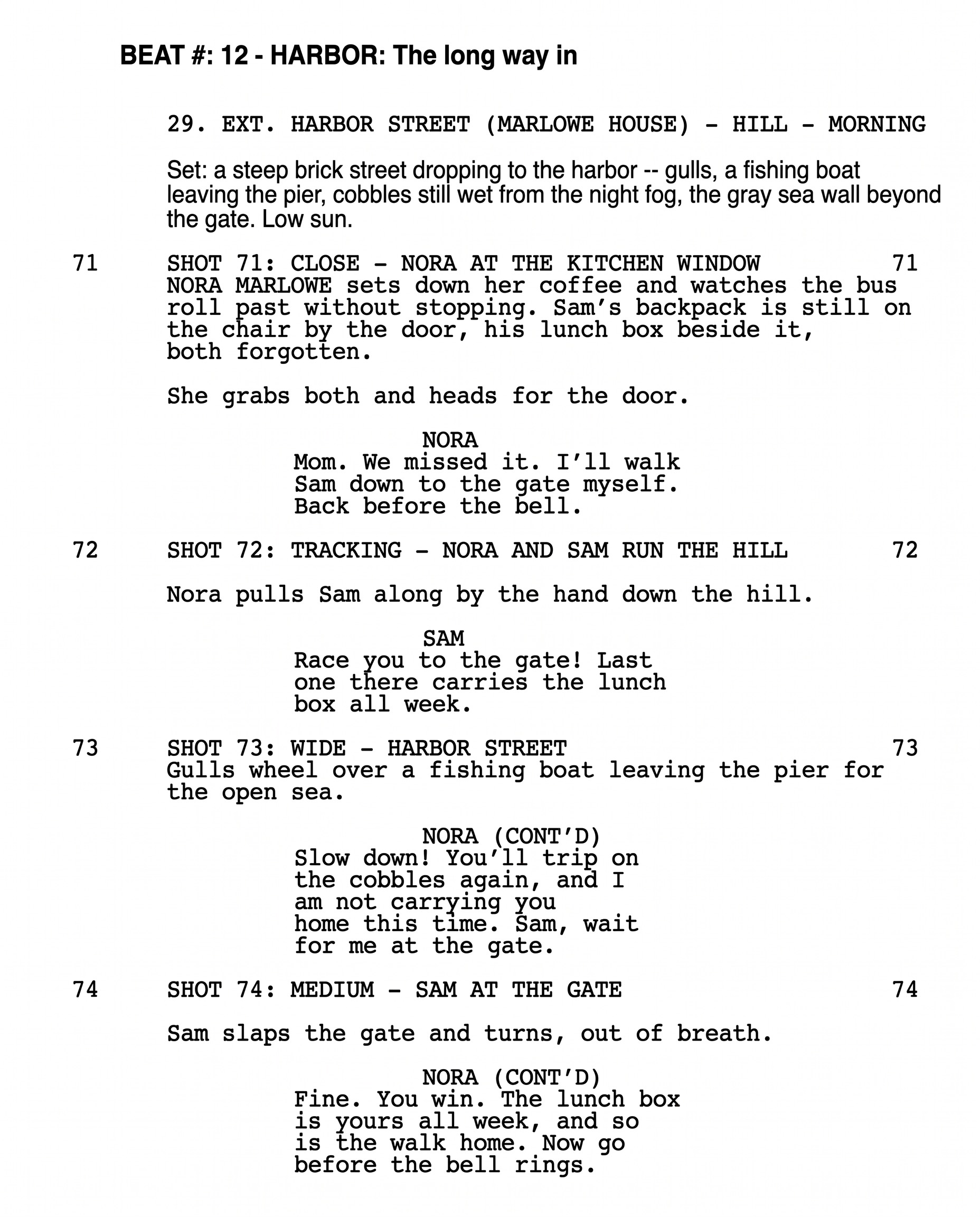 The top of an industry-format screenplay page: beat 12, Harbor, scene 29 on Harbor Street, shots 71 and 72