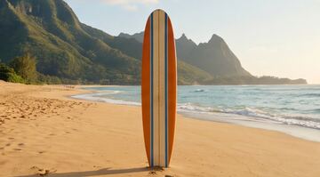 Insert of the surfboard